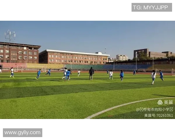 上海排球队选拔赛点评：力量与技巧的完美结合展现出无限潜力与团队精神